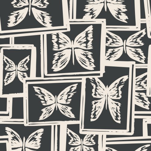 framed butterflies