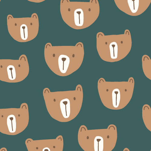 brown bear faces