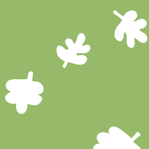 minimal forest leaves tossed 