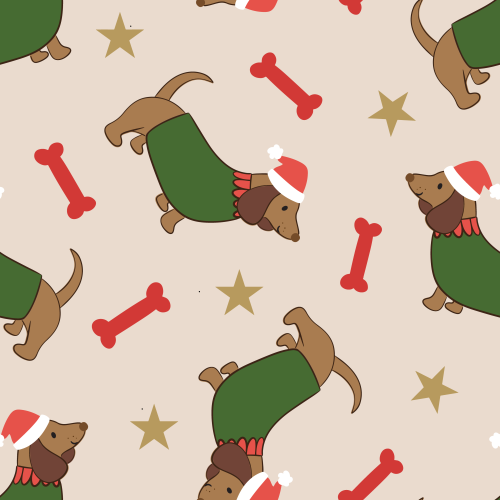 Cute Dachshund dogs wearing Santa hats 