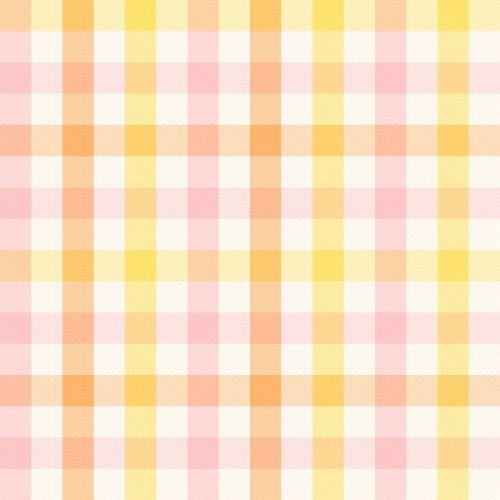 Rainbow multi color gingham check