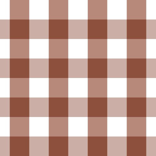 Gingham check coordinate for Jolene Rodeo
