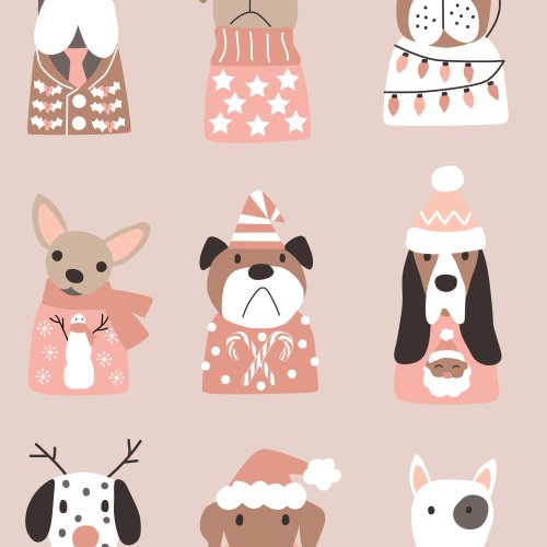 dogs in sweaters