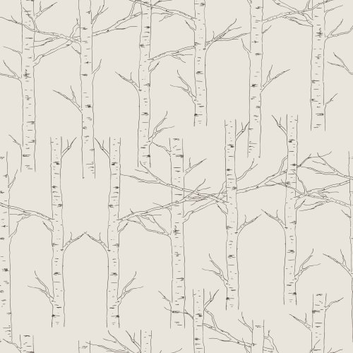 sketched outline of aspen tree trunk and branches