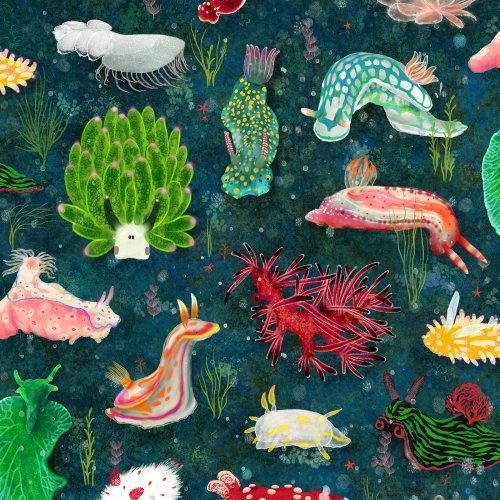 Colorful nudibranchs gliding through an underwater scene, soft marine background with delicate sea life details.