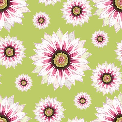 Big beautiful blossoms