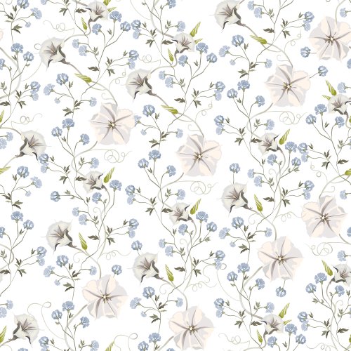 Trailing cornflowers and moon vine on a white background.