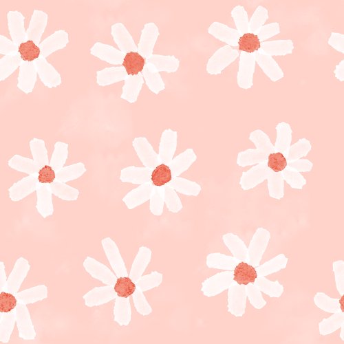 pink and white daisies