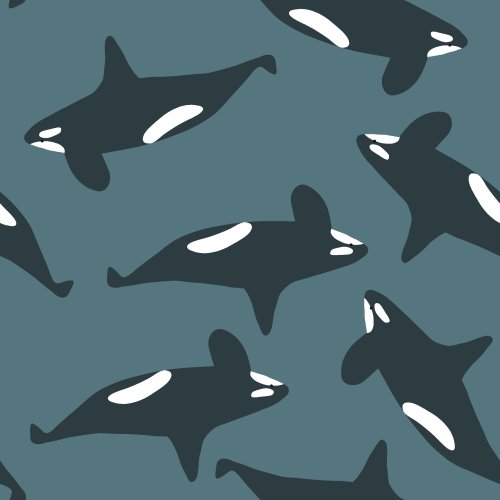 Tossed orca whales illustrated in a minimal style in blues and whites. Part of the larger arctic life collection.
