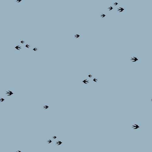 All the Birds