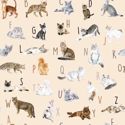 Cat ABCs