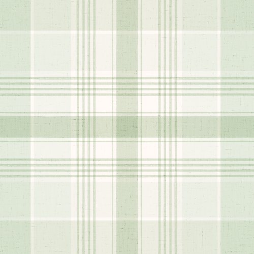 Boho Dinosaur Safari Plaid Checks