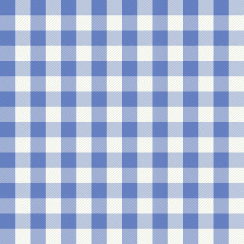 Cottagecore Gingham check in summer 4th of july red white and blues