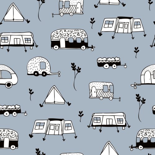 Camping Adventures