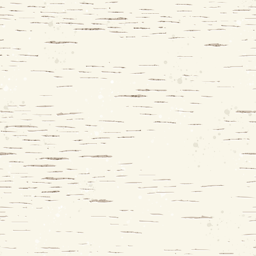 birch bark texture