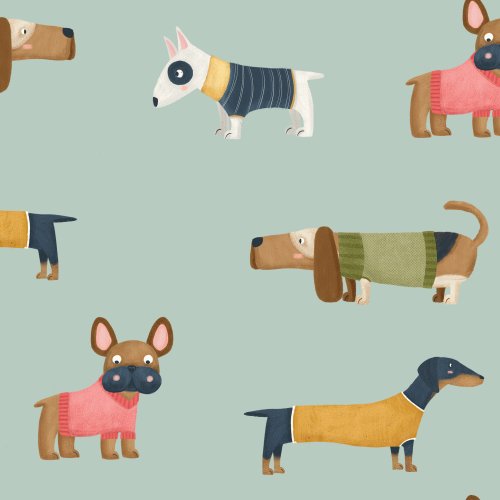 variety of dogs wearing sweaters