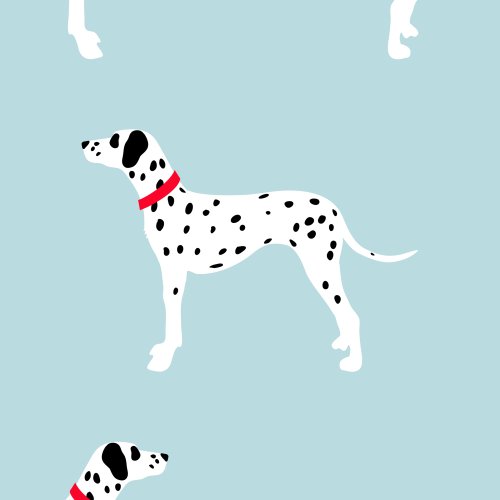 dalmation dogs