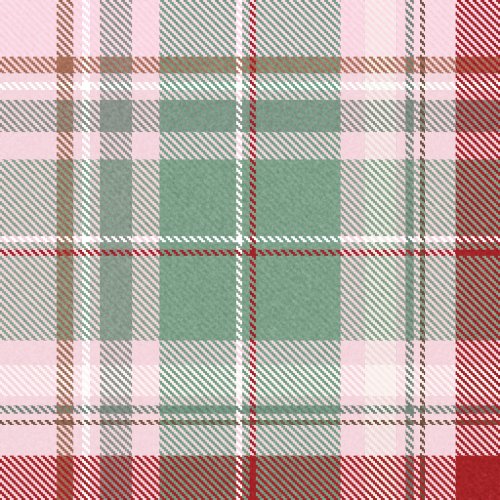holiday christmas tartan plaids 