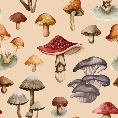 watercolor fungi mushrooms