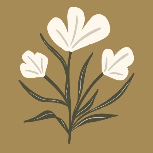 white flower on mustard background