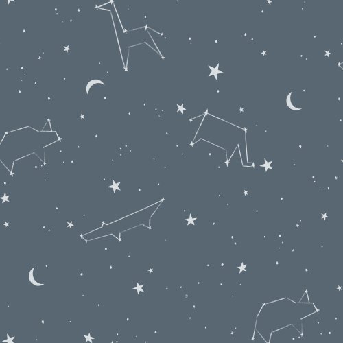 zoo animal constellation stars