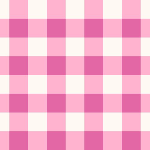 Gingham coordinates for Leopard and Lace 