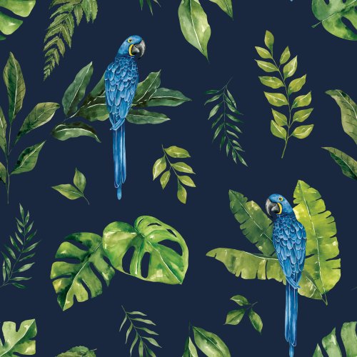 macaw bird in the jungle