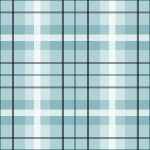 Soft blue plaid for Little Stinker