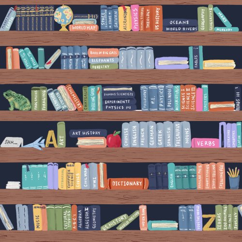 library shelves with books 