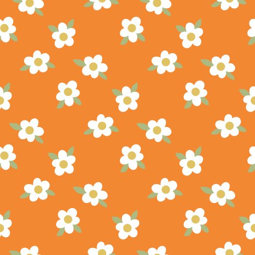 white daisies on a solid background