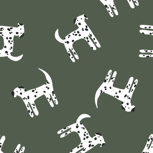 dalmation dogs