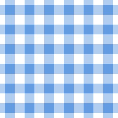 a sweet simple gingham, picnic blanket plaid 