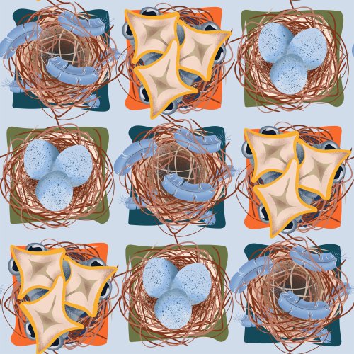 Bird nests in different times of use. Eggs, babies, empty nest with feathers.