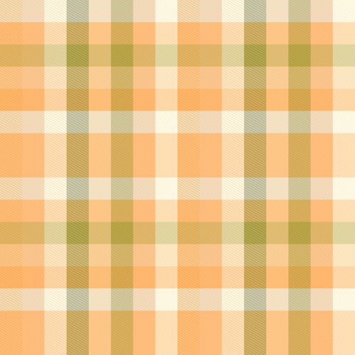 Spring Bohemia Gingham picnic check