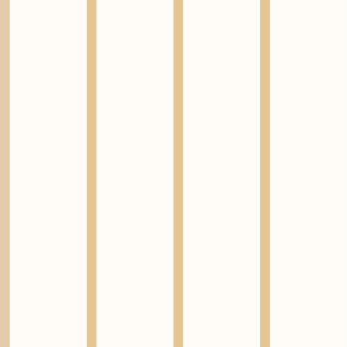 a light cream background with a simple thin beige line