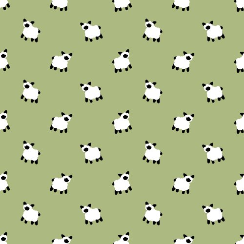 fluffy white sheep on a solid background