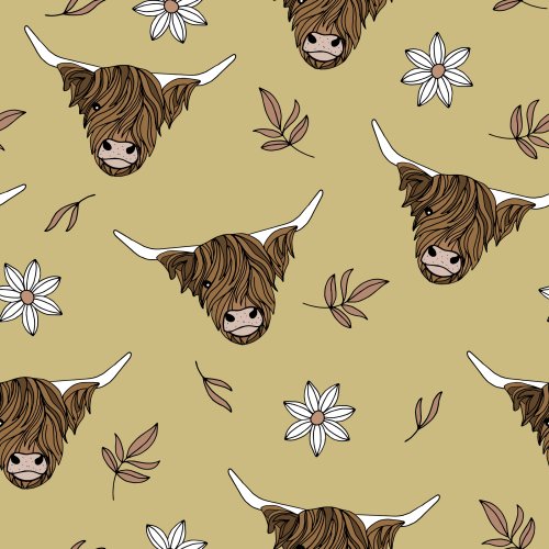 Highland Cows