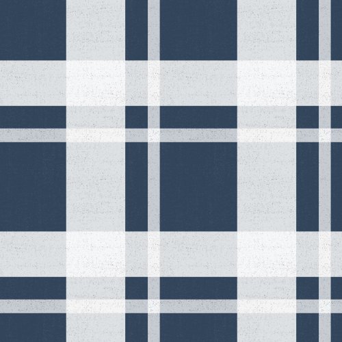 blue and white plaid