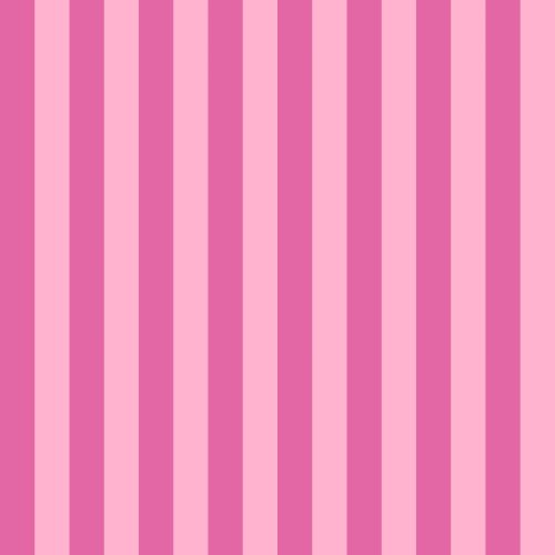 Cabana stripe coordinates for Leopard and Lace